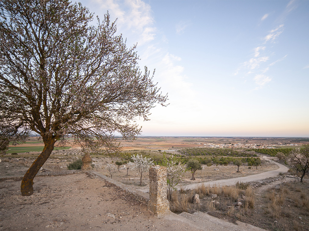 casa_rural_pozoamargo_la_moravieta_111
