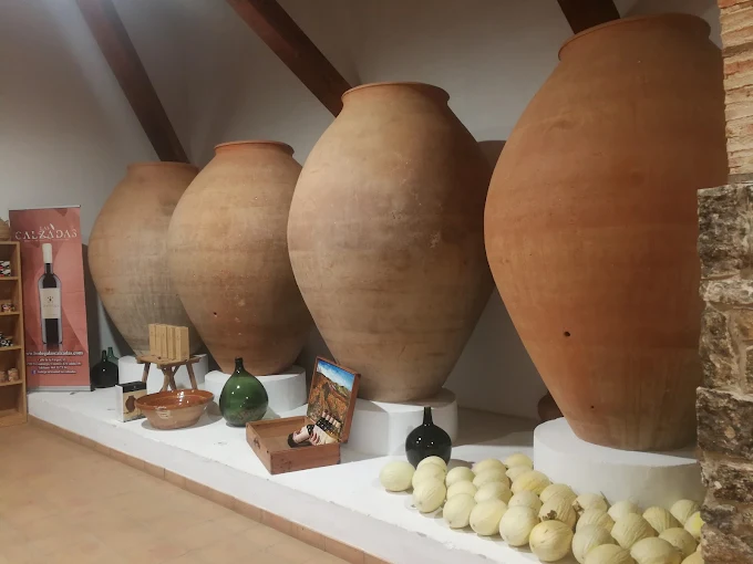 Bodega a escasos metros de la casa rural La Moravieta en Pozoamargo. Lugar perfecto para disfrutar de una excelente cata de vinos y excelente comida